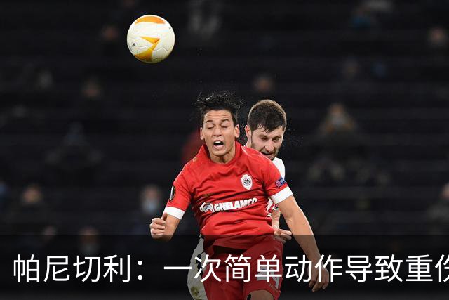 帕尼切利：一次简单动作导致重伤，起初一直问这种事怎么会发生